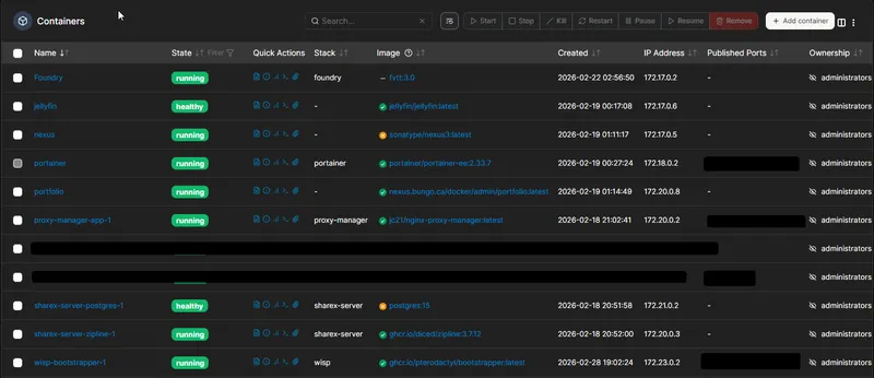 Self-Hosted Infrastructure Screenshot 1